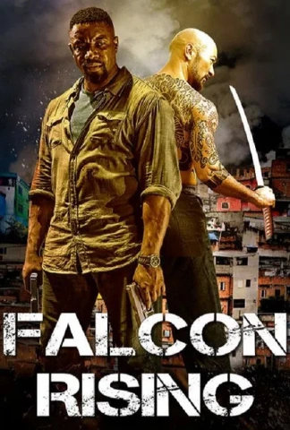 Falcon Rising
