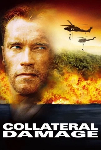 Dommage collatéral